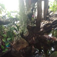 บรรยากาศ ค. กาแฟ