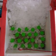 ร้านน้ำอ้อยคั้นสดไฟกระพริบ