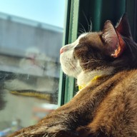 บรรยากาศ GREEN59