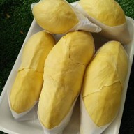 ร้านรวยทุเรียน