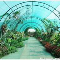 บรรยากาศ The Bloom By TV Pool