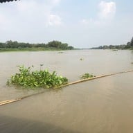 แพเค ปลาแม่น้ำ