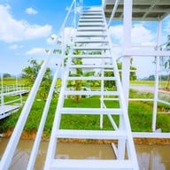 บรรยากาศ White House Cafe' Chainat