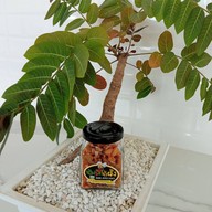 เมนูของร้าน น้ำพริกน้ำผึ้ง