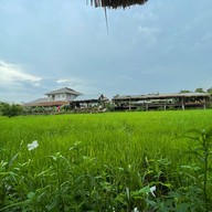 ดูนาคาเฟ่พัทยา