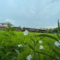 ดูนาคาเฟ่พัทยา