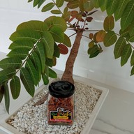 เมนูของร้าน น้ำพริกน้ำผึ้ง