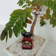 เมนูของร้าน น้ำพริกน้ำผึ้ง