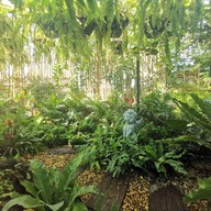 Ppan Sweets สามพราน