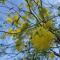 สนามกอล์ฟภาณุรังษี