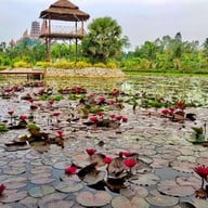 บรรยากาศ Cafe ริมบัว กาญจนบุรี