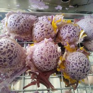 กระเพราพริกแห้งคุณพิม🌶️🌶️ -