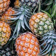 เมนูของร้าน ร้านผลไม้สดปั่น#นางงาม คอนโดทิวลิปสแควร์