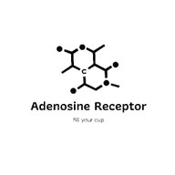 Adenosine Receptor