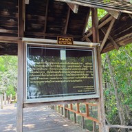 ศูนย์ศึกษาธรรมชาติป่าชายเลนอ่าวคุ้งกระเบน
