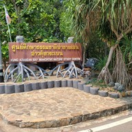 ศูนย์ศึกษาธรรมชาติป่าชายเลนอ่าวคุ้งกระเบน