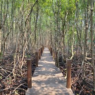 ศูนย์ศึกษาธรรมชาติป่าชายเลนอ่าวคุ้งกระเบน