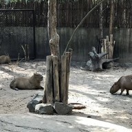 สวนสัตว์อุบลราชธานี