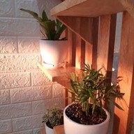 บรรยากาศ Y BOOK CAFE - คาเฟ่นิยายวาย @มอนอประตู6 พิษณุโลก