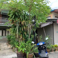 แกงไตปลาป้ามณฑา