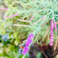 ร้านทีทรี ( T3 TThree )