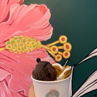 Aloha Homemade Ice Cream