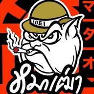 หมาเฒ่า