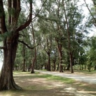 วัดท่าไทร