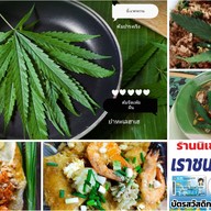 อาหารตามสั่ง,ป่า อิ่มจุก (คานหาม)ฟรี!!น้ำซุป ผัก น้ำพริก(ตามสั่ง ผัดไท-หอยทอด)