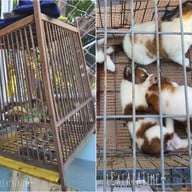 ตลาดนัดวันอาทิตย์ สงขลา