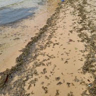 หาดทรายสองสี