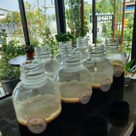 คุณยาย คาเฟ่ แอนด์ บิสโทร