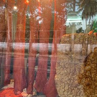 ร้านข้าวหมูแดง กรอกยายชา