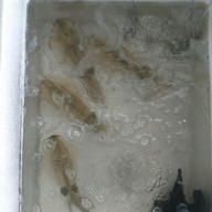 ร้าน4มุมเพลิน สาขา2