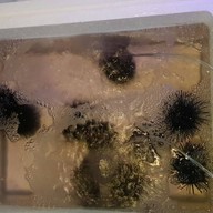 ร้าน4มุมเพลิน สาขา2