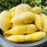 ทุเรียนไทย Organic Thailand จากสวนธรรมชาติ บางเสาธง