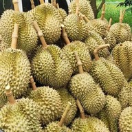 Sangsuwanfruit