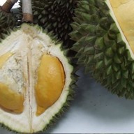 ทุเรียนไทย Organic Thailand จากสวนธรรมชาติ บางเสาธง