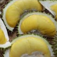 ทุเรียนไทย Organic Thailand จากสวนธรรมชาติ บางเสาธง