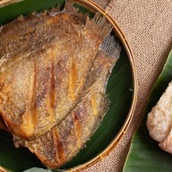 ไฮโซ ฟิช