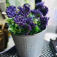 ร้านกาแฟบ้านเตย&ครัวบ้านเรา Ban Toey Cafe