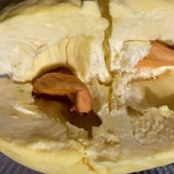 ทุเรียนไทย Organic Thailand จากสวนธรรมชาติ บางเสาธง