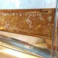 Viu The St. Regis Bangkok