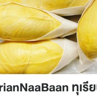 ทุเรียนหน้าบ้าน