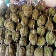 บ้านคุณโน๊ตทุเรียนระยอง