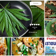 อาหารตามสั่ง,ป่า อิ่มจุก (คานหาม)ฟรี!!น้ำซุป ผัก น้ำพริก(ตามสั่ง ผัดไท-หอยทอด)