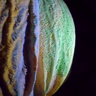 บรรยากาศ ถ้ำบัวโบก