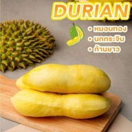 ทุเรียนไทย Organic Thailand จากสวนธรรมชาติ บางเสาธง