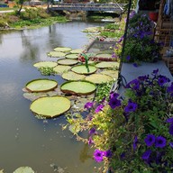 บรรยากาศ ก๋วยเตี๋ยวห้อยขากาแฟสดบ้านสวนมะลิ