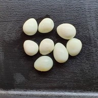 แซ่บซีรีย์ ชาบูเสียบไม้ อมรพันธ์ เกษตร